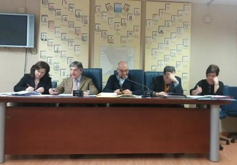 &copy; 2013 - 5.2.2019_Audizione di Vito Marsico nella riunione delle Commissioni