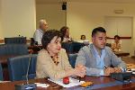 3.7.2019_Riunione della terza Commissione