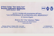 © 2013 - acerenza.jpg