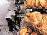 &copy; 2013 - Lina Giuseppina Venturini, Policoro (MT) - Panificio Gallotta