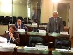 Consiglio regionale, seduta della IX legislatura - 5