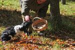 &copy; 2013 - 10_Azienda tartufigena 'La Trifola'_tartufaio e cane addestrato_foto di Michele Morelli