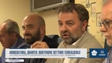 AGRICOLTURA, QUARTO: SOSTENERE SETTORE CEREALICOLO