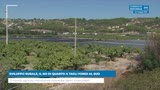 SVILUPPO RURALE, IL NO DI QUARTO A TAGLI FONDI AL SUD