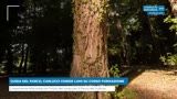 GUIDA DEL PARCO, CARLUCCI CHIEDE LUMI SU CORSO FORMAZIONE 