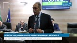 AGRICOLTORI, BRAIA: GRAVE ASSENZA GOVERNO REGIONALE