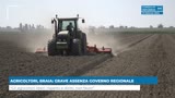 AGRICOLTORI, BRAIA: GRAVE ASSENZA GOVERNO REGIONALE