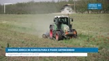 RISORSA IDRICA IN AGRICOLTURA E PIANO ANTINCENDIO 