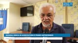 RISORSA IDRICA IN AGRICOLTURA E PIANO ANTINCENDIO 