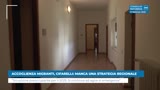 ACCOGLIENZA MIGRANTI, CIFARELLI: MANCA UNA STRATEGIA...