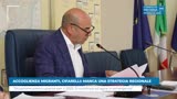 ACCOGLIENZA MIGRANTI, CIFARELLI: MANCA UNA STRATEGIA...