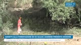 ADDETTI ALLA FORESTAZIONE ED EX SAAAP, MARRESE PRESENTA...