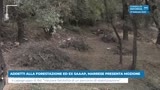 ADDETTI ALLA FORESTAZIONE ED EX SAAAP, MARRESE PRESENTA...
