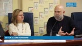 IV CCP ALCUNE AUDIZIONI