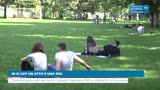 IN III CCP UN ATTO E UNA PDL