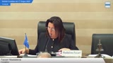 Seduta del 17 Giugno 2025