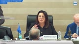 Seduta del 17 Giugno 2025