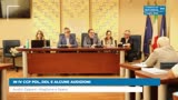IN IV CCP PDL, DDL E ALCUNE AUDIZIONI