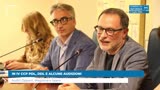 IN IV CCP PDL, DDL E ALCUNE AUDIZIONI