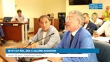 IN IV CCP PDL, DDL E ALCUNE AUDIZIONI