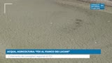 ACQUA, AGRICOLTURA: “FDI AL FIANCO DEI LUCANI”