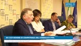 IN I CCP NOMINE DI COMPETENZA DEL CONSIGLIO E PDL
