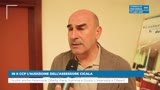 IN II CCP L’AUDIZIONE DELL’ASSESSORE CICALA