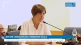 IN II CCP L’AUDIZIONE DELL’ASSESSORE CICALA