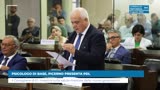 PSICOLOGO DI BASE, PICERNO PRESENTA PDL