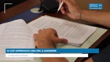 IV CCP APPROVATA UNA PDL E AUDIZIONI