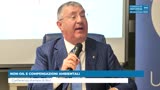 NON-OIL E COMPENSAZIONI AMBIENTALI
