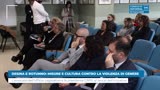 DESINA E ROTUNNO: MISURE E CULTURA CONTRO LA VIOLENZA DI...