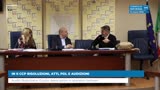 IN II CCP RISOLUZIONI, ATTI, PDL E AUDIZIONI