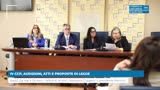 IV CCP, AUDIZIONI, ATTI E PROPOSTE DI LEGGE